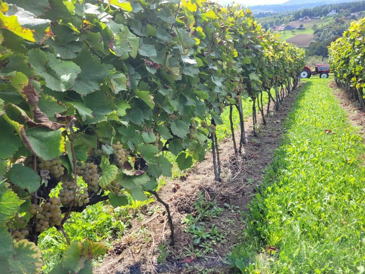 Fantastic View Vineyard Beskid Mountains Gruszow  Exterior foto