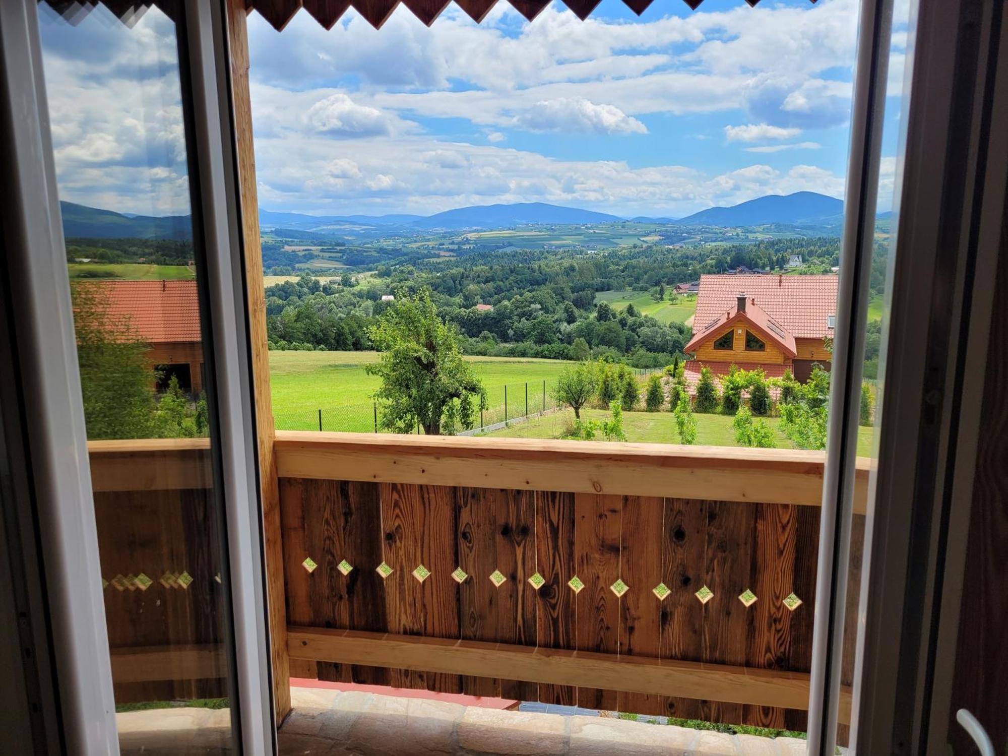 Fantastic View Vineyard Beskid Mountains Gruszow  Cameră foto