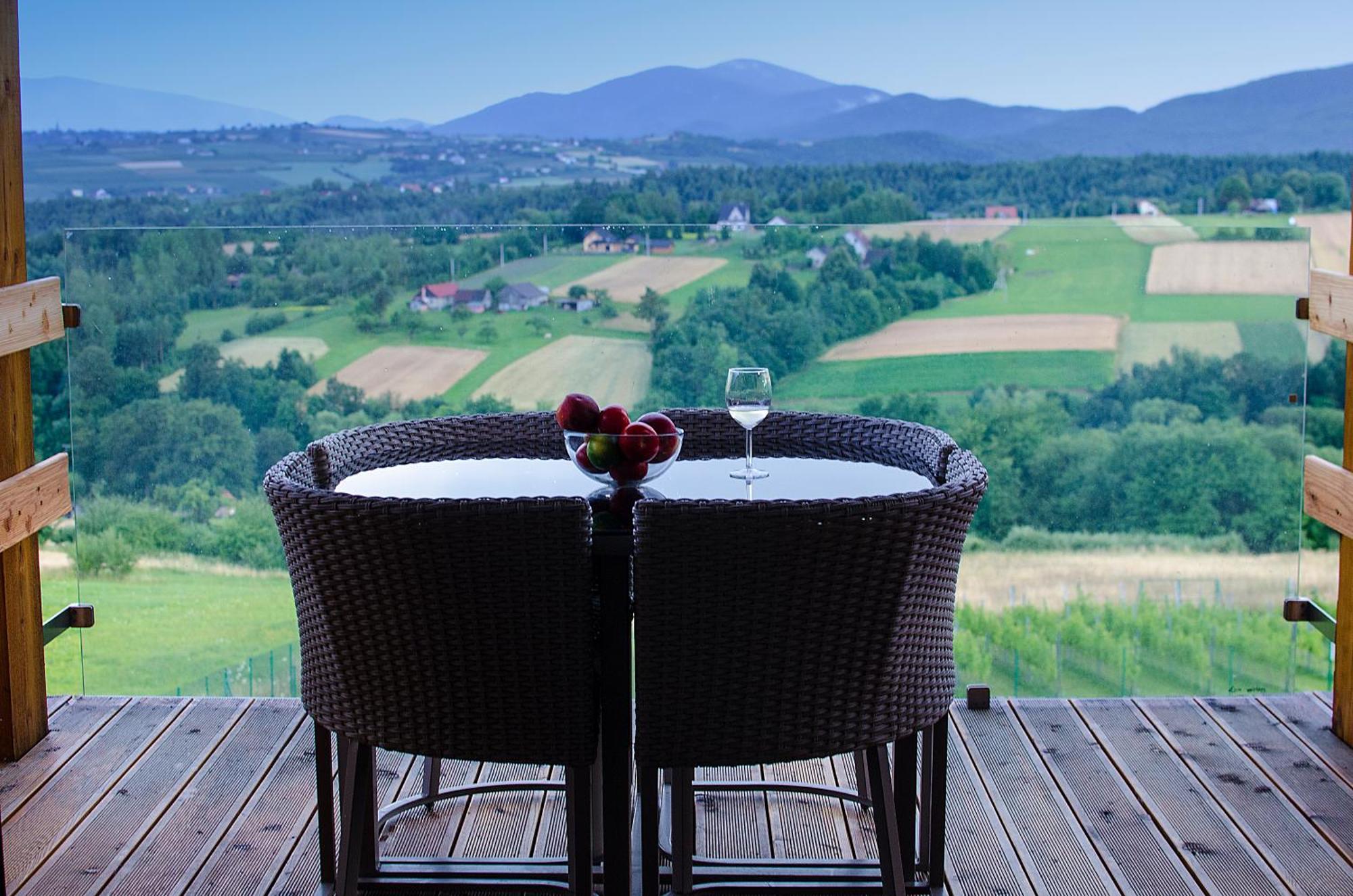 Fantastic View Vineyard Beskid Mountains Gruszow  Cameră foto